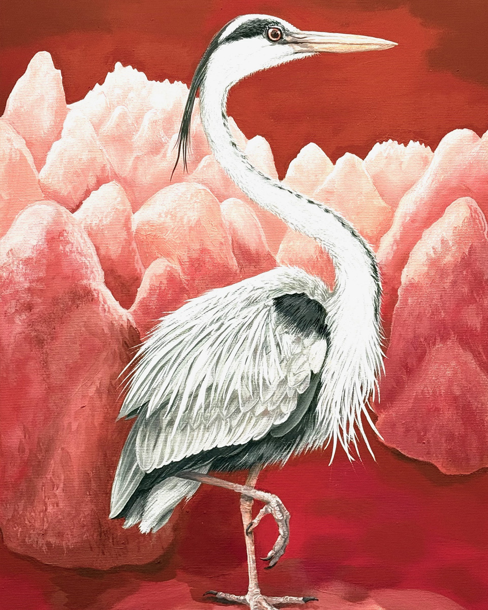 Exhibition Image