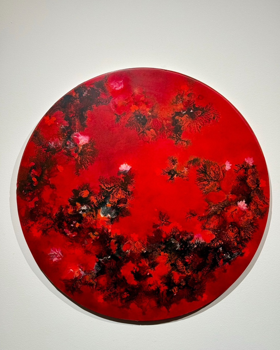 Exhibition Image