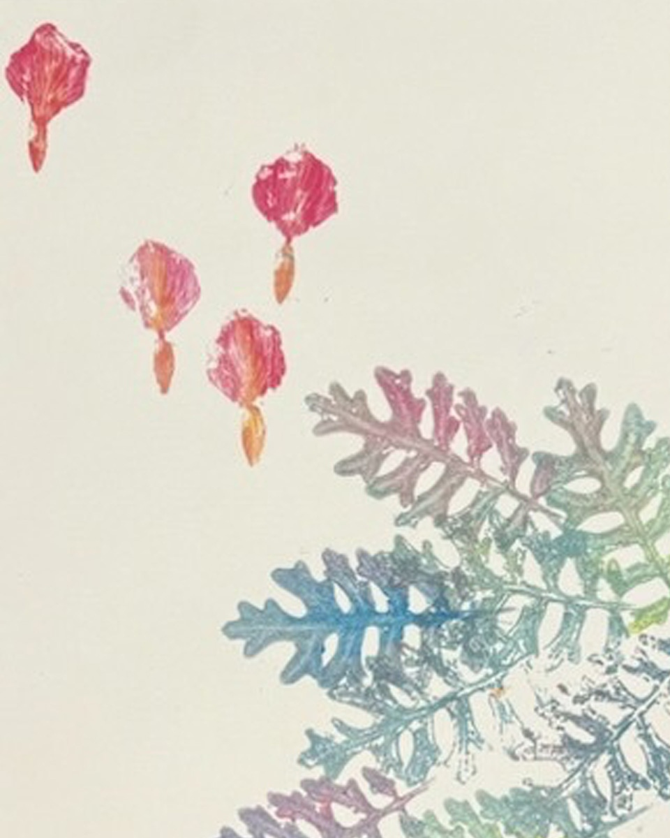 Exhibition Image